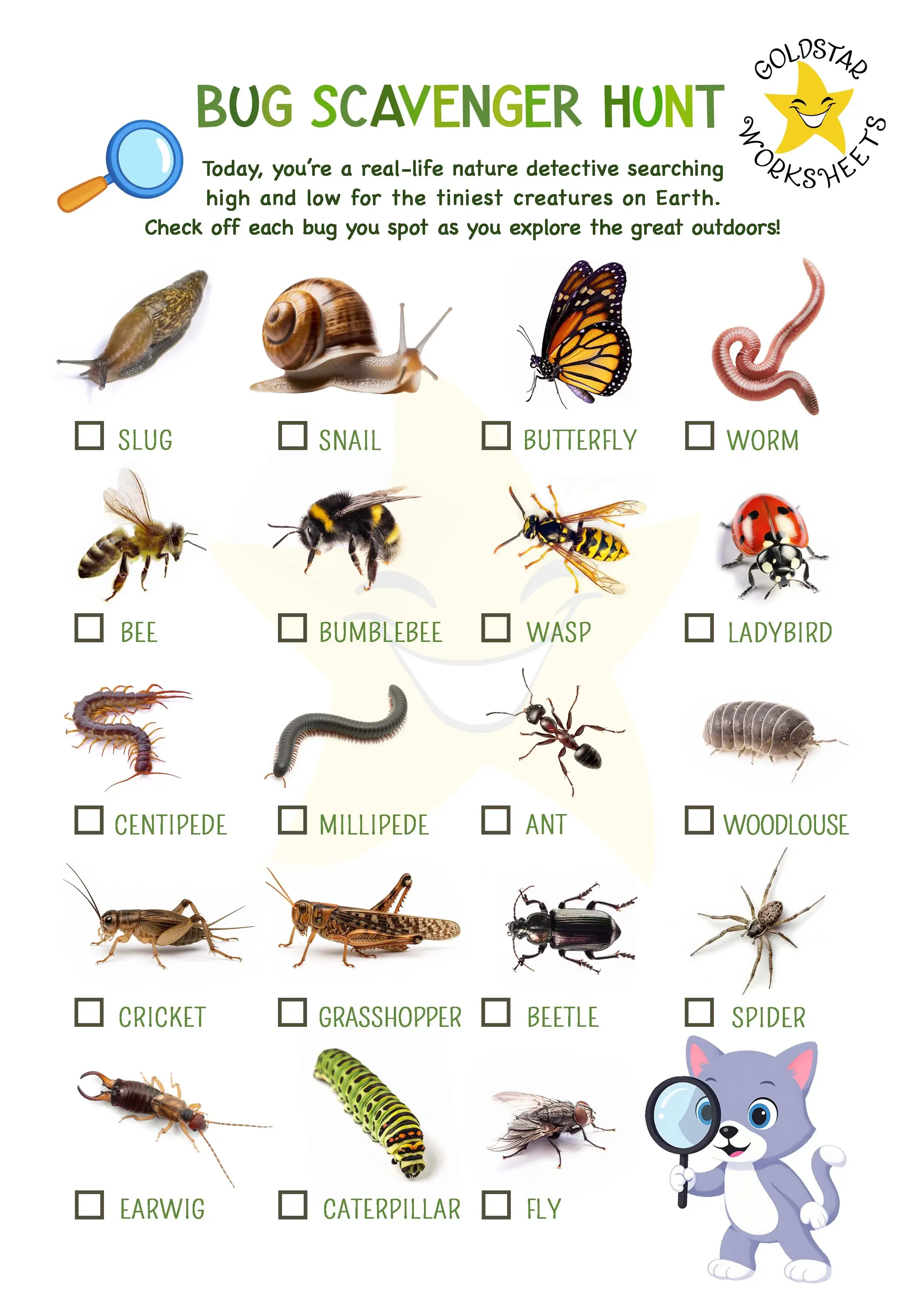 Bug scavenger hunt worksheet