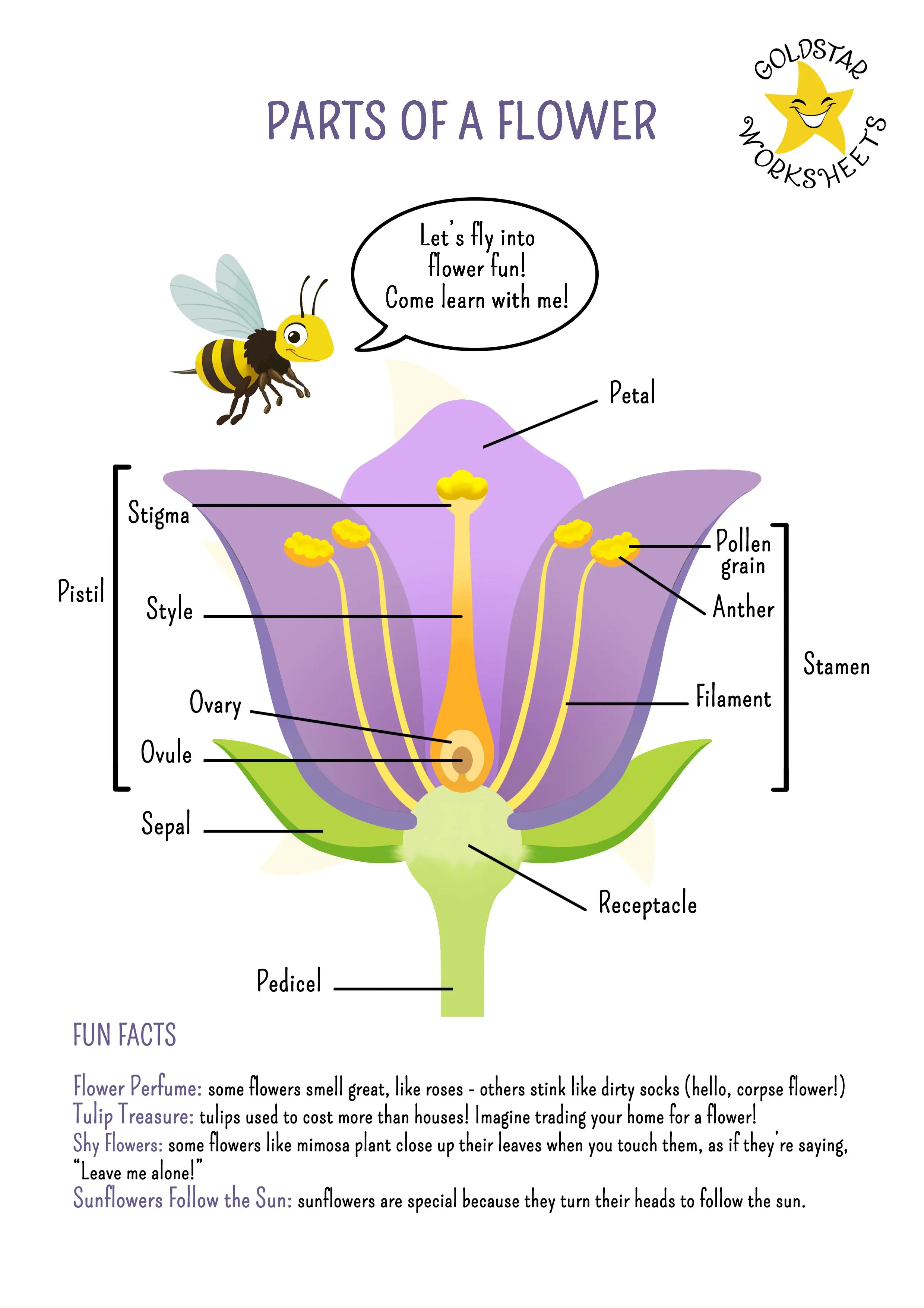 Explore the fascinating parts of a flower with this colorful worksheet for grades 2-4. Perfect for learning plant anatomy with labelled diagrams and fun facts!