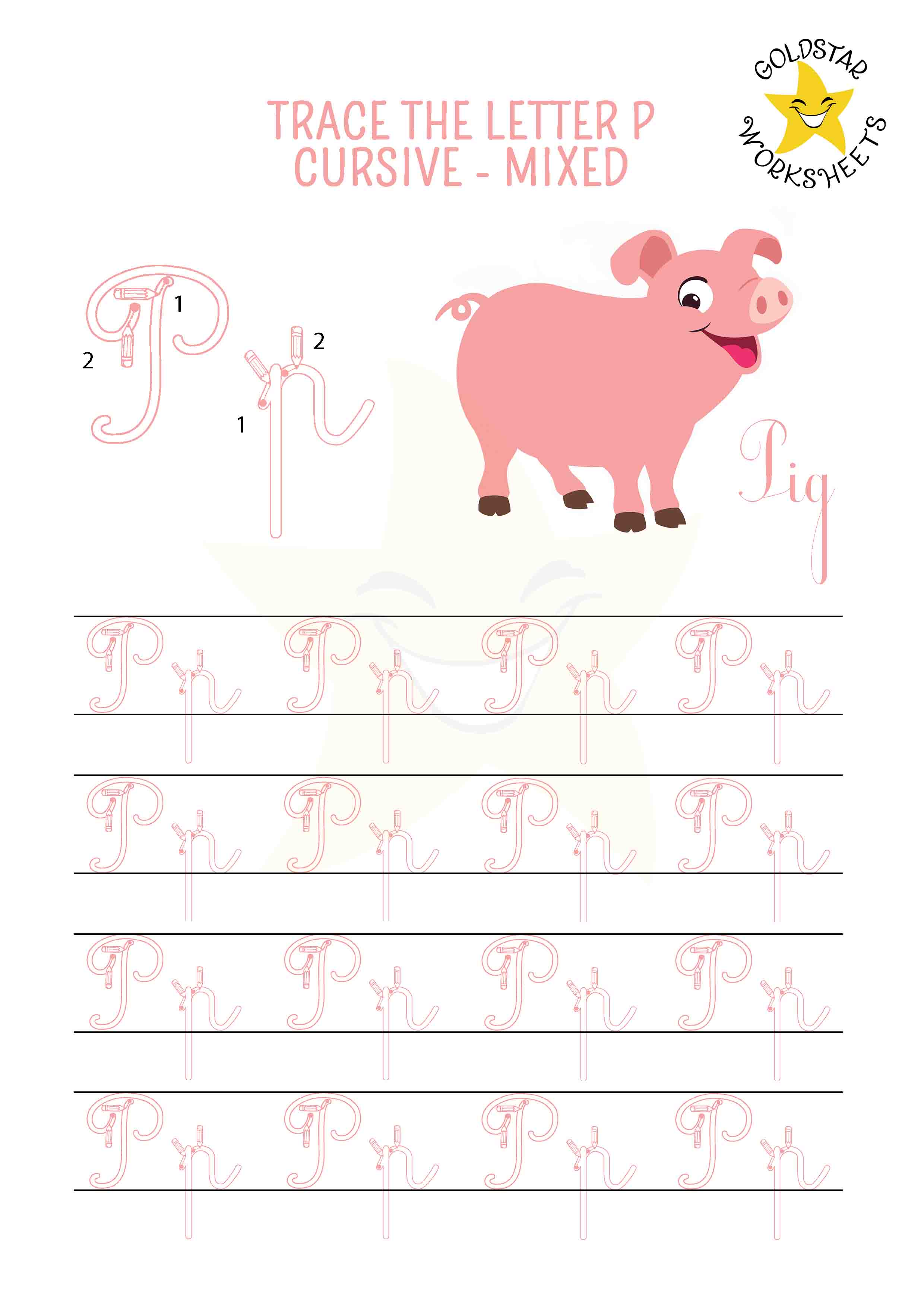 Upper and lowercase cursive letter P tracing worksheet. This mixed practise sheet features a perky pink pig. Free printable PDF for 2nd and 3rd grade kids practicing cursive handwriting. 4 rows of capital P and small p writing includes directional arrows and stroke order.