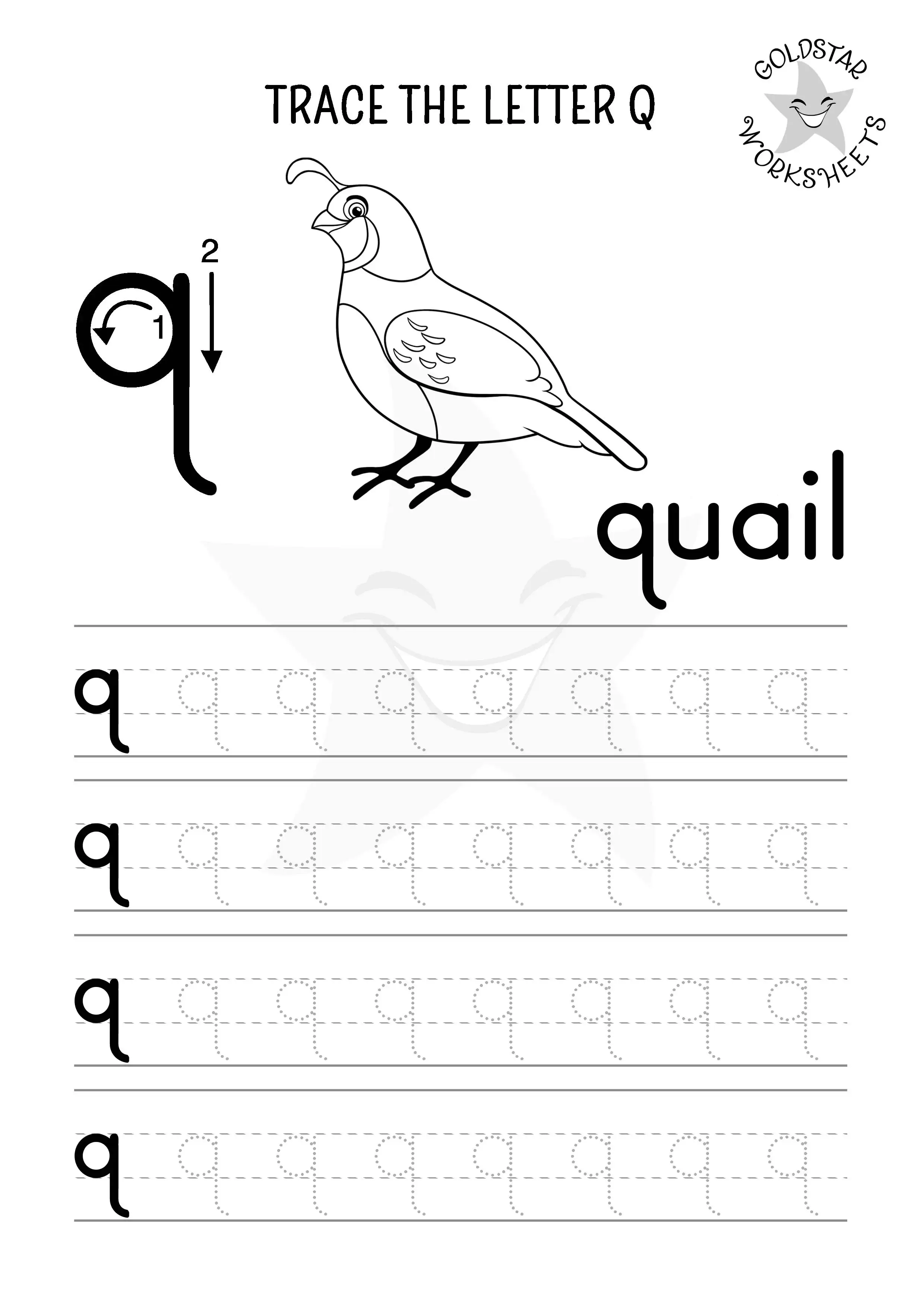 Trace the lowercase letter Q and color the elegant quail