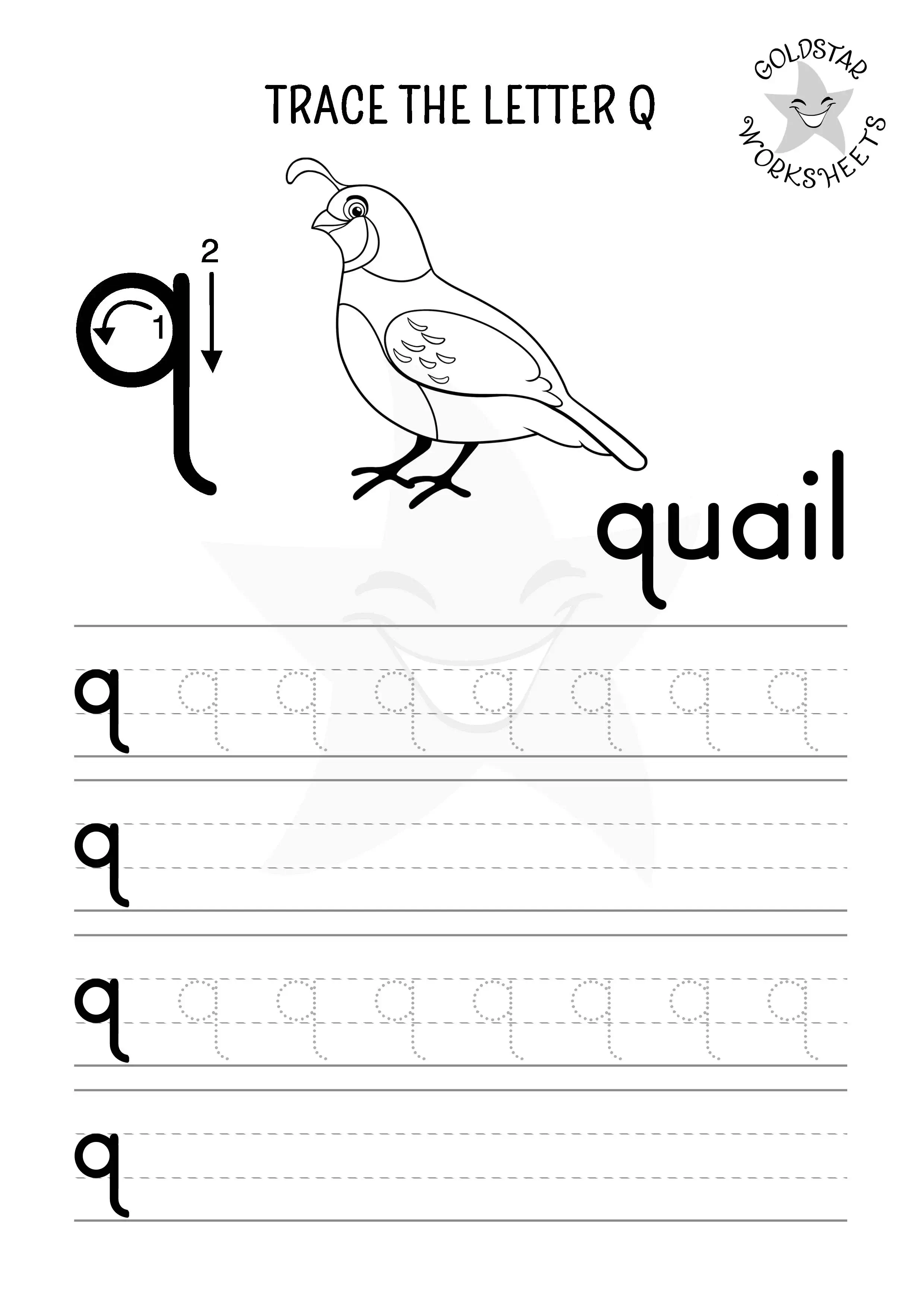 Trace and write lowercase letter q and color the elegant quail