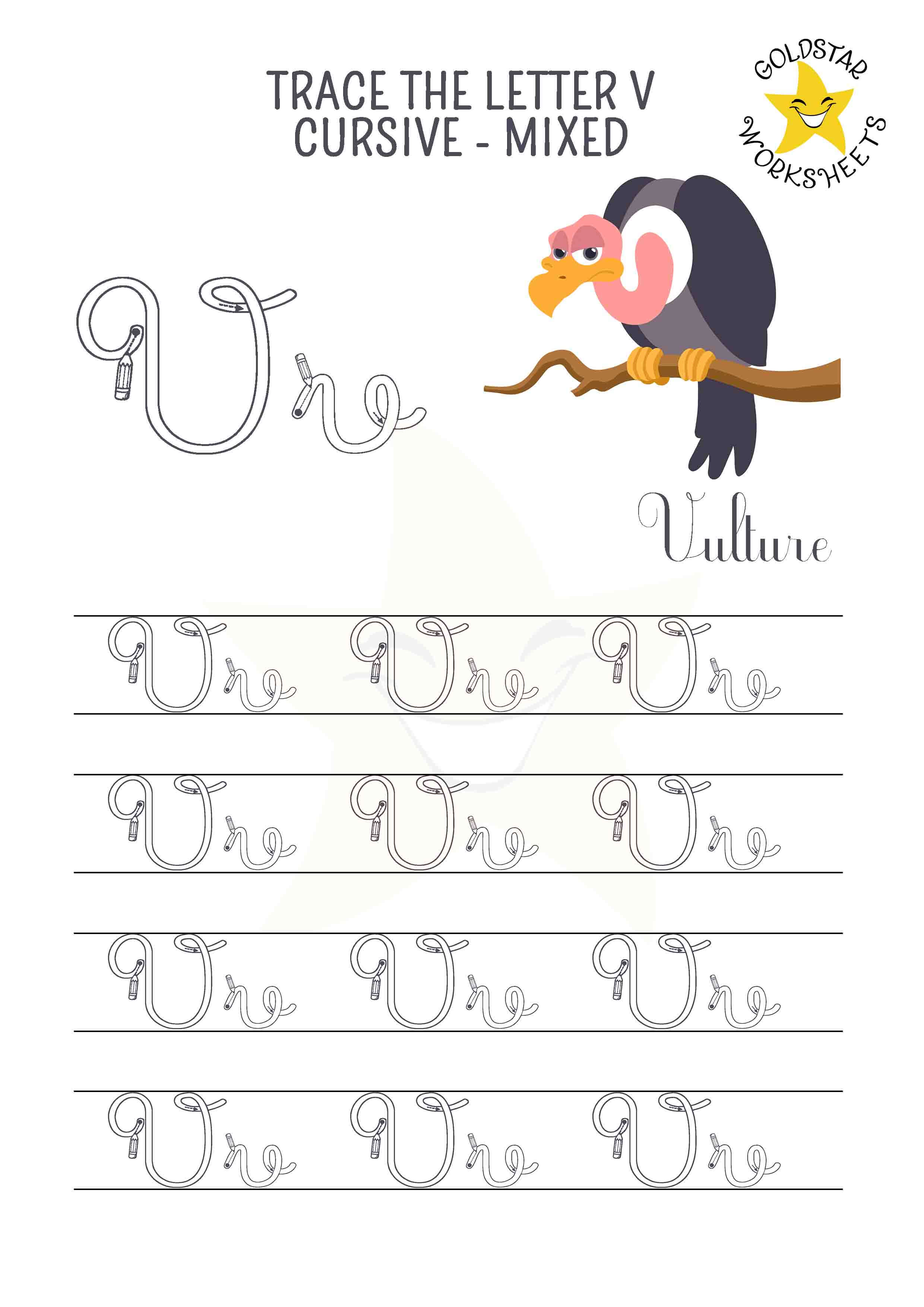 Upper and lowercase cursive letter V tracing worksheet. This mixed practise sheet features a moody vulture. Free printable PDF for 2nd and 3rd grade kids practicing cursive handwriting. 4 rows of capital V and small V writing includes directional arrows.