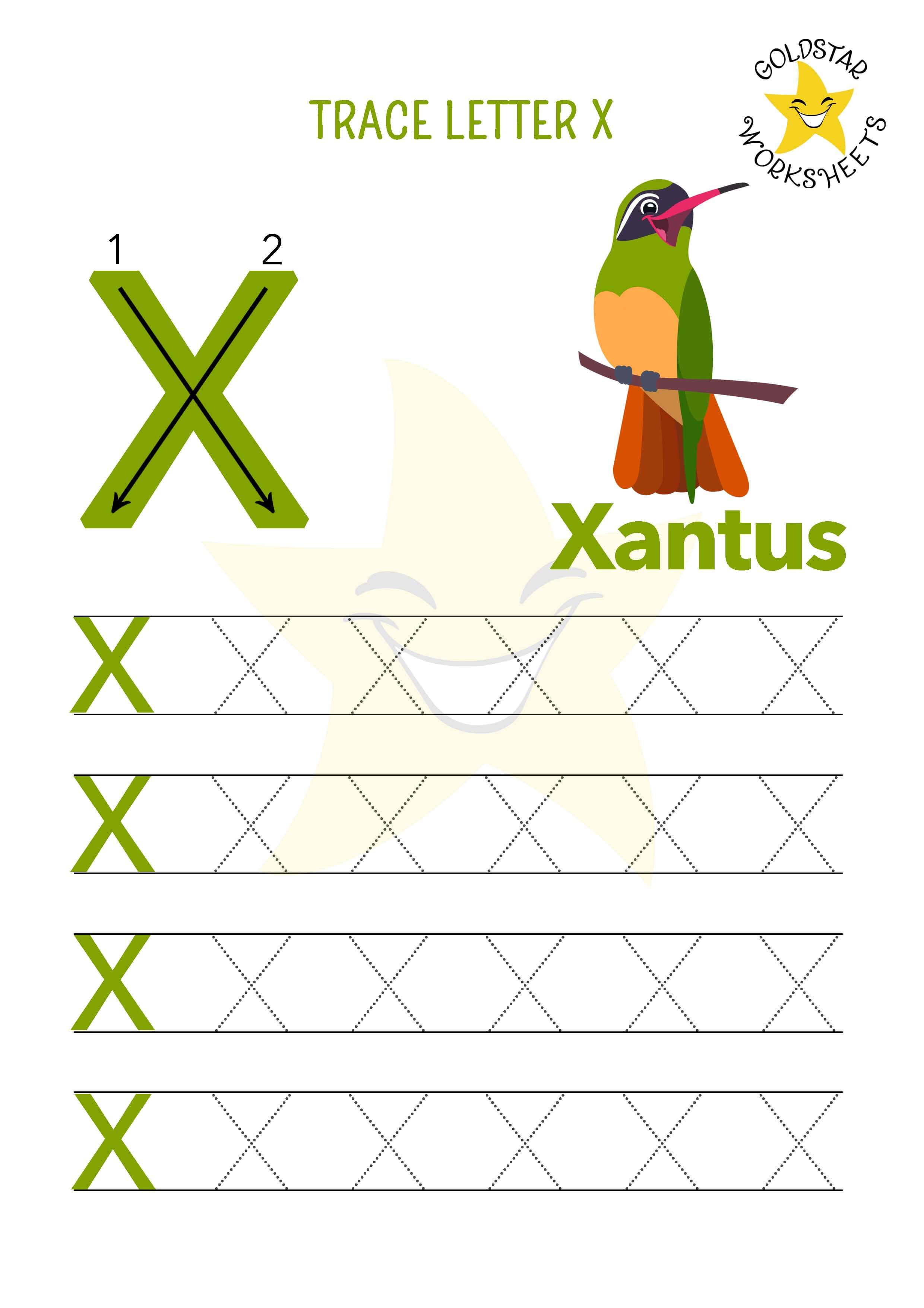 Exciting and Free Letter X Tracing Worksheets XRays & Xantus Birds!