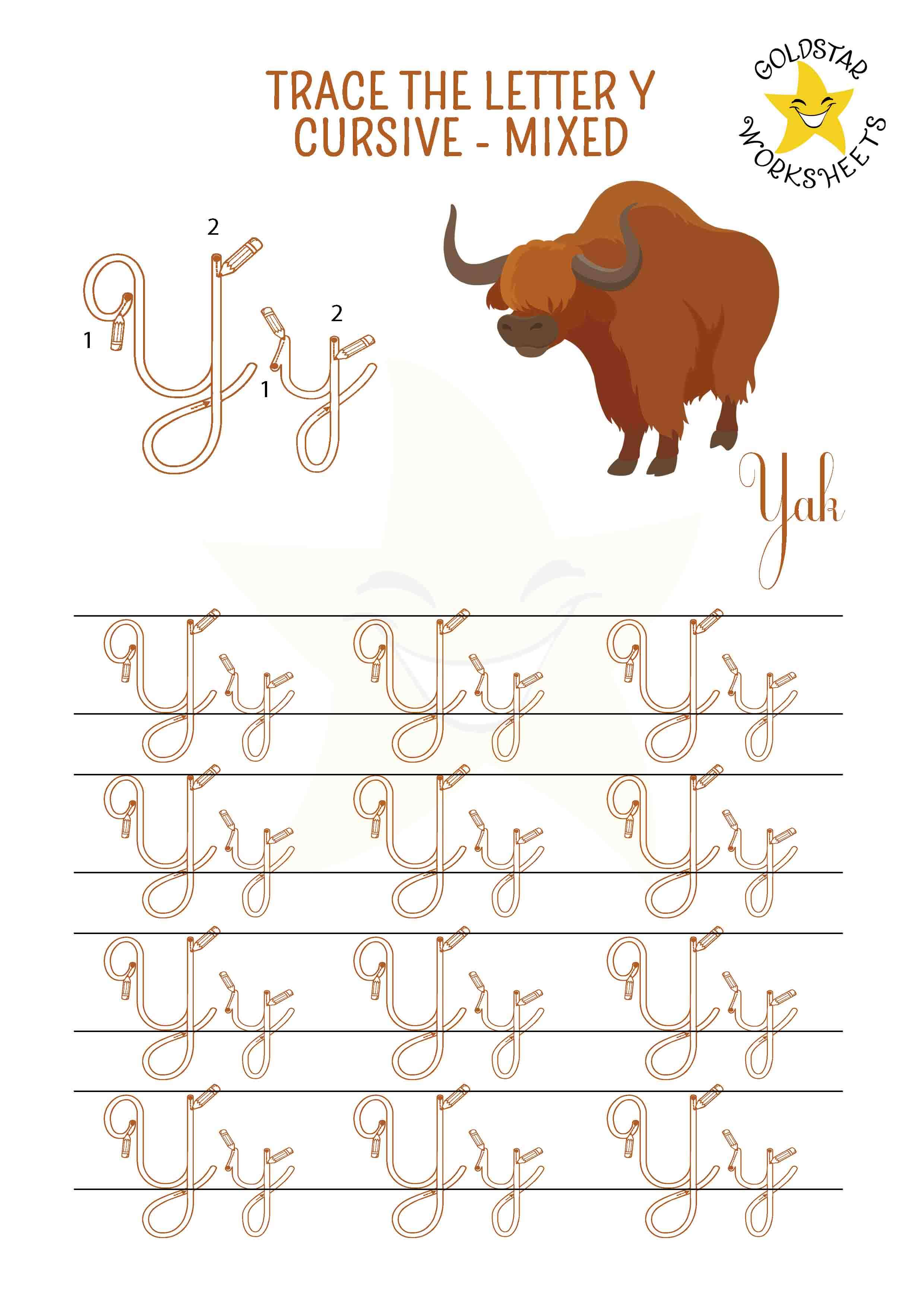 Upper and lowercase cursive letter Y tracing worksheet. This mixed practise sheet features a cool yak. Free printable PDF for 2nd and 3rd grade kids practicing cursive handwriting. 4 rows of capital Y and small y cursive tracing includes directional arrows.