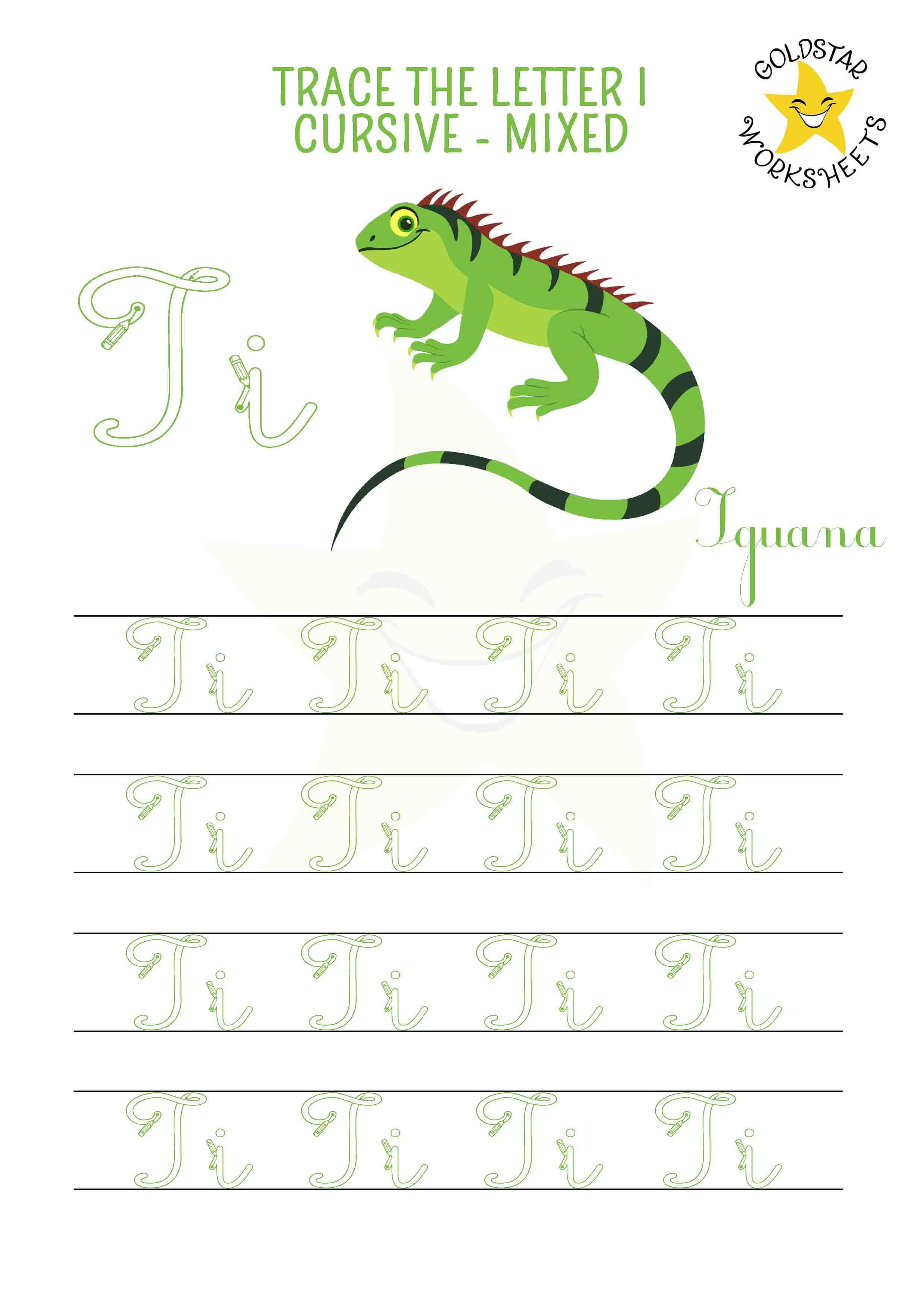 Uppercase and lowercase cursive letter I tracing worksheet. This mixed practise sheet features an interesting iguana. Free printable PDF for 2nd and 3rd grade kids practicing cursive handwriting. 4 rows of capital I and small I writing includes directional arrows and stroke order.