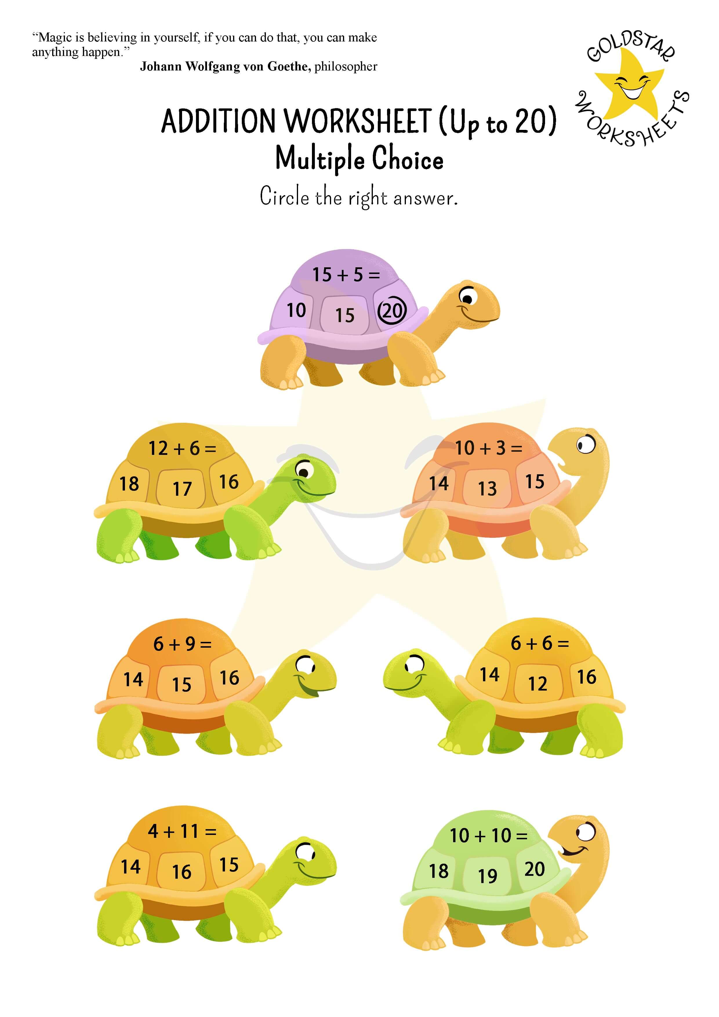 Addition up to 20 tortoises (multiple choice)