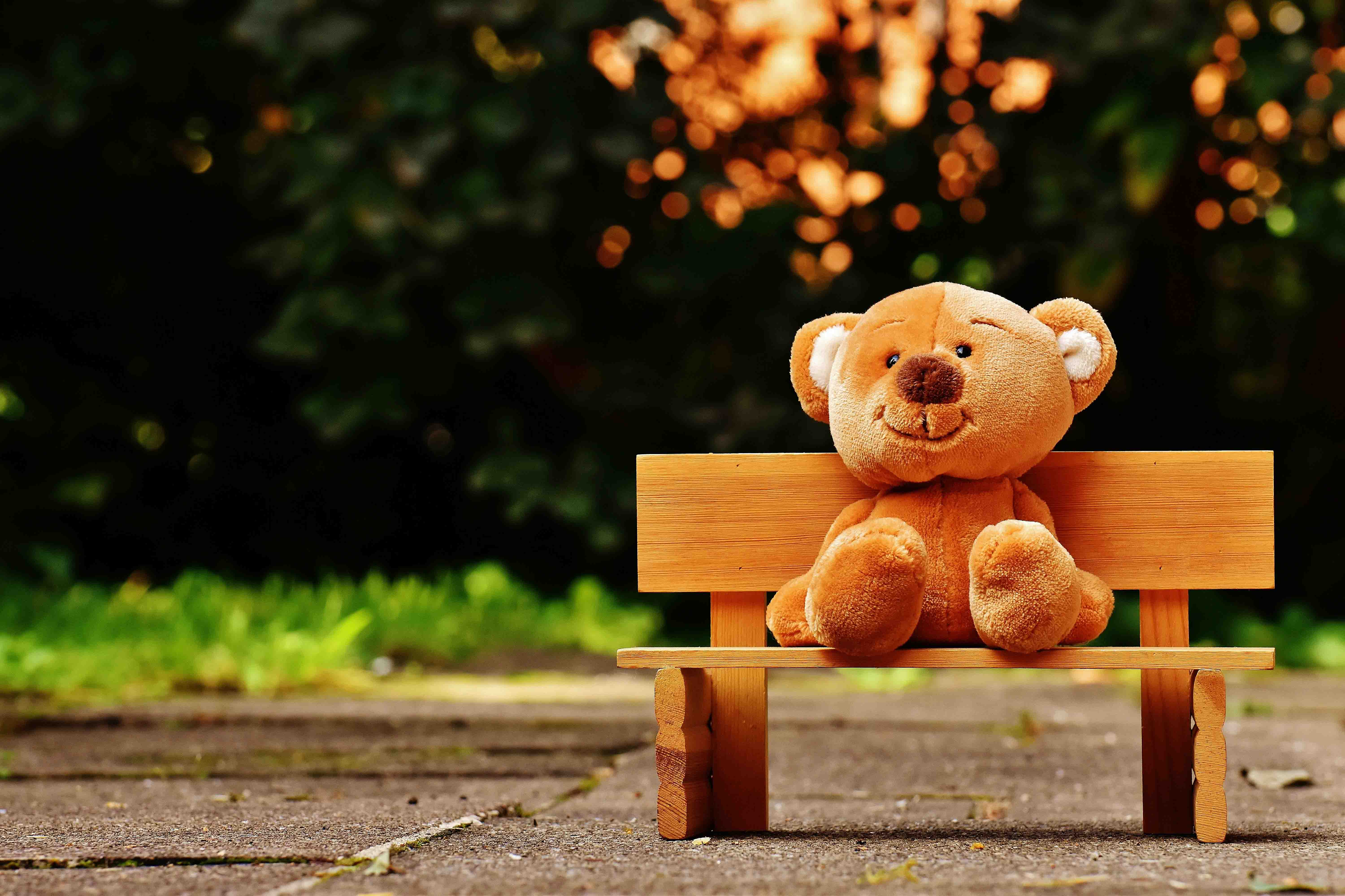 teddy bear on a park bench teddy bear on a park bench